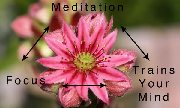 Meditation definition