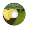 how-to-self-heal-guided-meditation-mp3