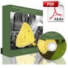 how-to-self-heal-package-adobe-version