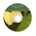 how-to-self-heal-guided-meditation-mp3