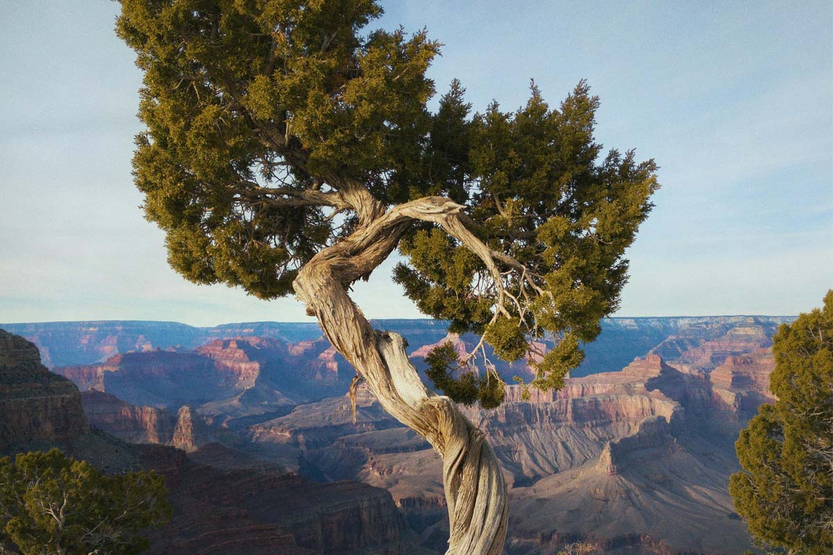 grand-canyon-retreats-view image Grand Canyon Retreat View